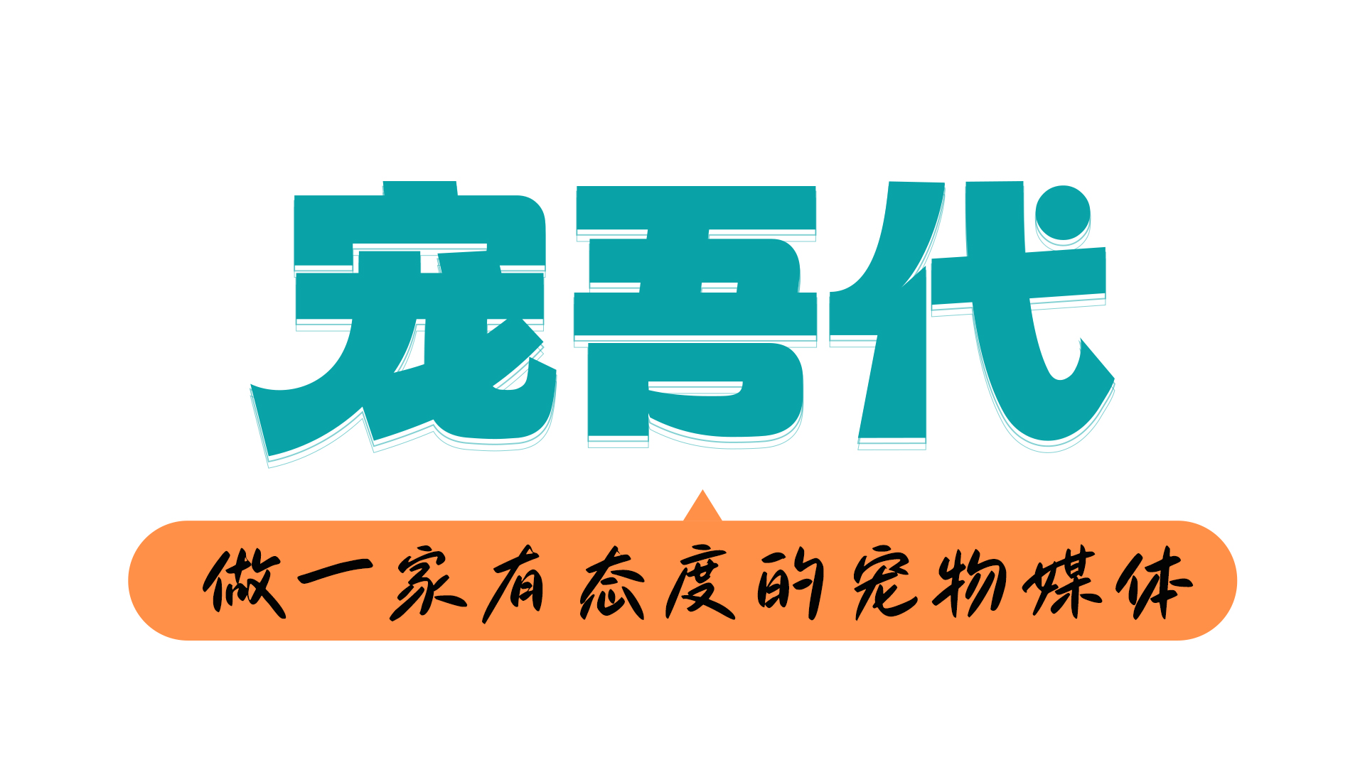 公司简介